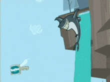a cartoon of a shark with a sign that says boomerang on it