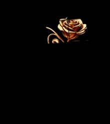 a sign that says eternity family with an infinity symbol