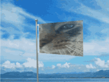 Cat Flag GIF - Cat Flag Waving Flag GIFs