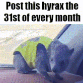 a picture of a cat with the words post this hyrax the 31st of every month on the bottom