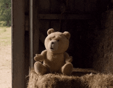 Ted Guitar GIF - Ted Guitar Hay GIFs