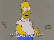 Exactly Homer Simpson GIF - Exactly Homer Simpson The Simpsons GIFs