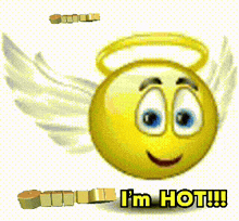 a yellow smiley face with angel wings and the words omfg i 'm hot