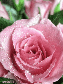 GIF
