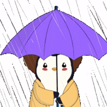 rainy missyou missrainy storm