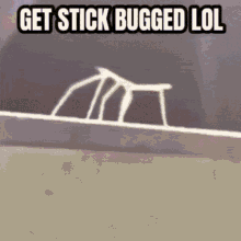 Stick Bug Rick Roll GIF - Stick Bug Rick Roll Lol GIFs