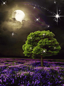 night moon tree shooting star sparkle