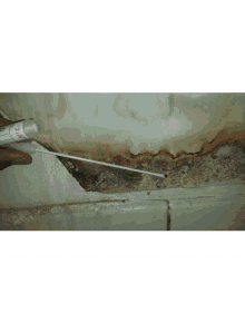 Mold Inspections Los Angeles Mold Inspection And Testing GIF