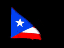 puerto rico puerto rican national day