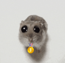 Number1 Mouse GIF
