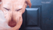 Smiling Scared GIF - Smiling Scared Squinting GIFs