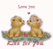 love sweet bear kiss for you