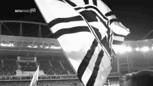 Botafogo Bandeira Botafogo Torcida GIF
