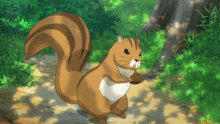 Squirrel Cute GIF - Squirrel Cute Animal GIFs
