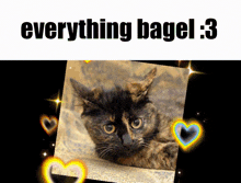 Bagel Everythingbagel GIF - Bagel Everythingbagel Bassbabes GIFs