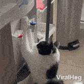Thirsty Drinking Water GIF - Thirsty Drinking Water Cat GIFs
