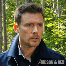 Stunned Charlie Hudson GIF - Stunned Charlie Hudson Hudson And Rex GIFs