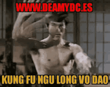deamydc feamydc kung fu kung fu ngu long vo dao bruce lee