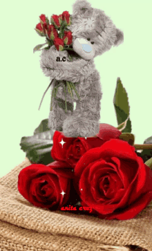 tatty teddy i love you red roses