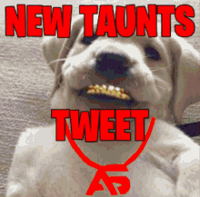 New Taunts Tweet Taunts GIF - New Taunts Tweet Taunts Taunts Tweet GIFs