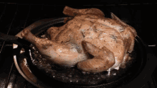 Cooking Turkey GIF
