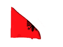 Albania Albanian GIF - Albania Albanian Flag GIFs