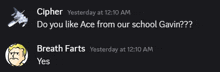 a screenshot of a conversation between cipher and breath farts asking if they like ace from our school gavin