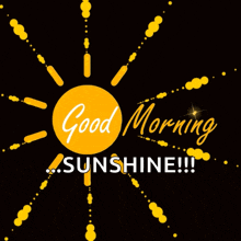 Morning Goodmorning GIF - Morning Goodmorning Sunshine GIFs