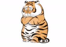 kecewa kesal imut harimau tiger