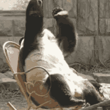 GIF