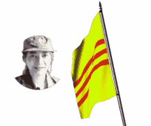 Vietnam Flag Flag GIF - Vietnam Flag Flag Vnch GIFs