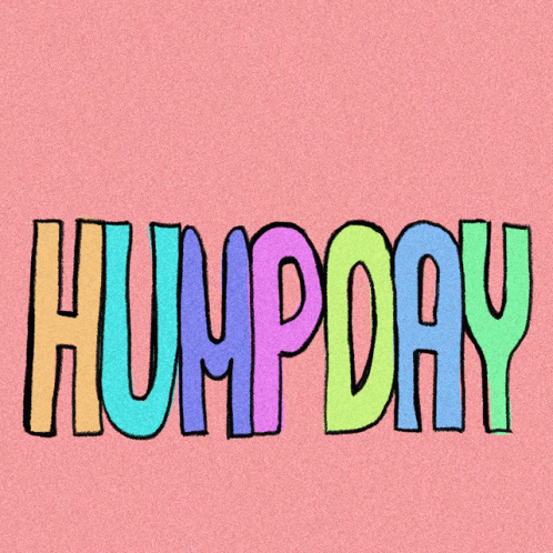 hump day wallpaper