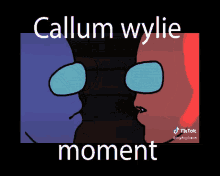 Callum Callum Wylie GIF - Callum Callum Wylie GIFs