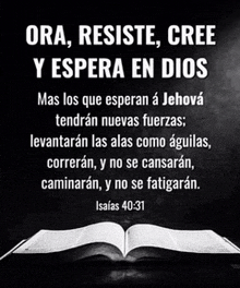 a bible with a quote from isaias 40-31