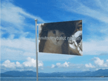 Youtootmybalut Youtootmybalut Flag GIF - Youtootmybalut Youtootmybalut Flag Youtootmybalut Nation GIFs