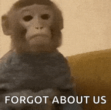 a stuffed monkey is sitting on a couch with the words `` forgot about us '' written on it .