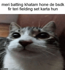 a close up of a cat with the caption meri batting khatam hone de bsdk fir teri fielding set karta hun .