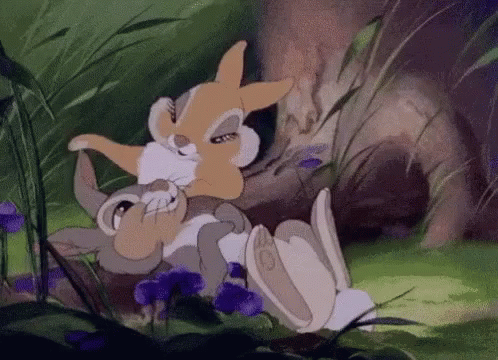 Flirt Thumper GIF - Flirt Thumper Bunny - Discover & Share GIFs