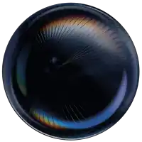 a black circle with a rainbow colored stripe on the bottom