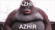 Azhir Ape GIF - Azhir Ape Stare GIFs