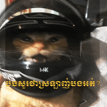 a close up of a cat wearing a helmet that says mk on it