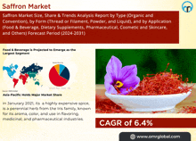 Saffron Market GIF