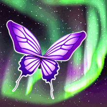 Butterfly Northern Lights Purple Butterfly GIF
