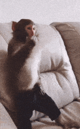 a small monkey is sitting on a couch with its hand on its face