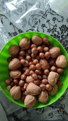 Nut Nuts GIF - Nut Nuts Squirrel GIFs