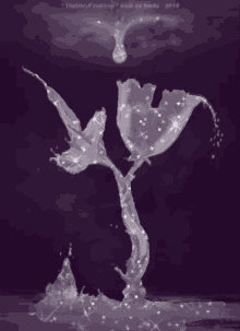 First Drop Flower Artwork Paul Jaisini GIF - First Drop Flower Artwork Paul Jaisini Art Gif Effects GIFs