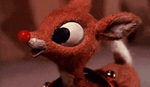 Rudolph Rudolph The Red Nosed Reindeer GIF - Rudolph Rudolph The Red Nosed Reindeer GIFs
