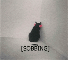a black cat is sitting in the corner of a room with the words horny sobbing