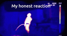 Thermal Infrared GIF - Thermal Infrared Fart GIFs