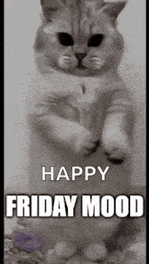 Friday End Of The Week GIF - Friday End Of The Week Dancing Cat GIFs